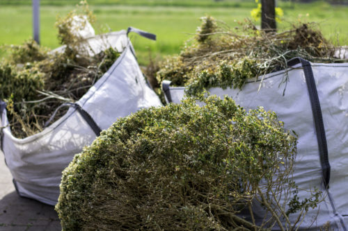 Big white bags filled with organic green garden waste after gardening. Local councils collecting green waste to process it into green energy and compost.